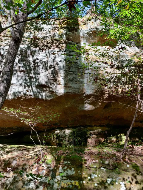 Shawnee National Forest