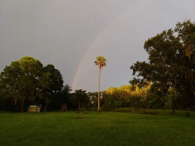 Princess Flock Fresh Eggs