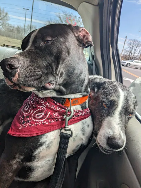 Di Vall Retail Liquor Store