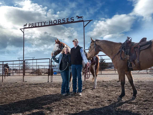 Pretty-Horses horse motel