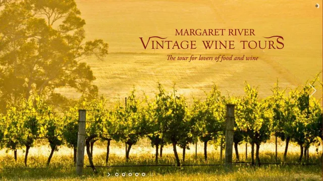 Margaret River Vintage Wine Tours