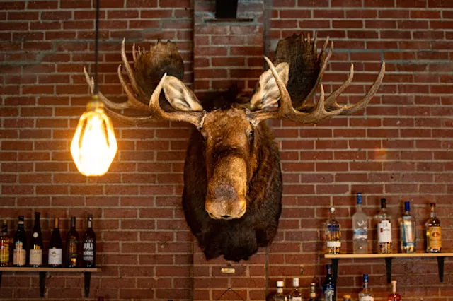 The Bull Moose Bar