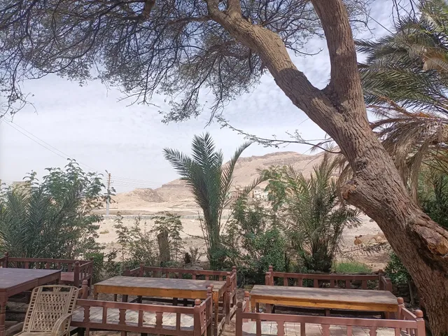 Nour El Gourna Hotel