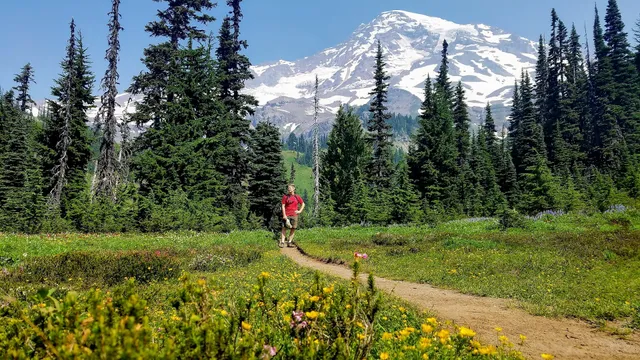 Van Trump Trail, Mount Rainier National Park