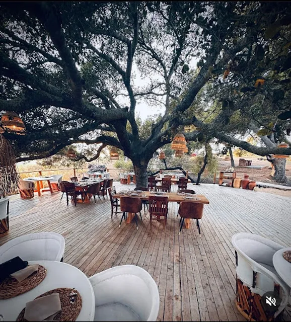 Ancestros Valle de Guadalupe Restaurante