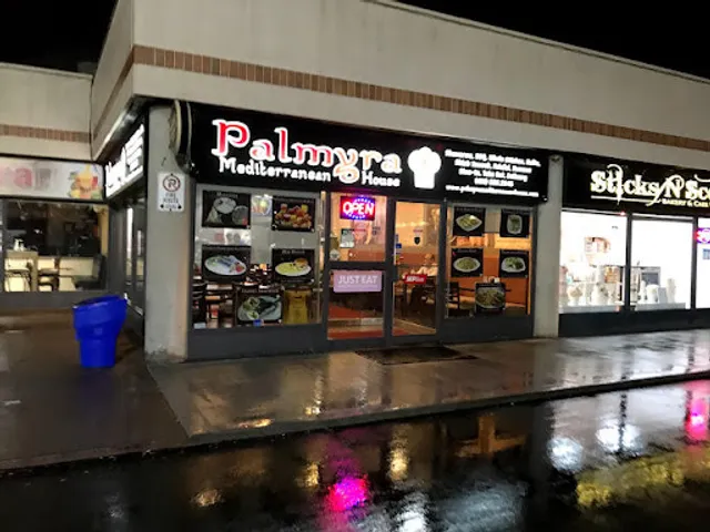 Palmyra Mediterranean House