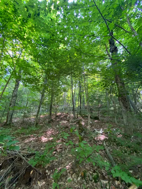 Plein air St-Adolphe