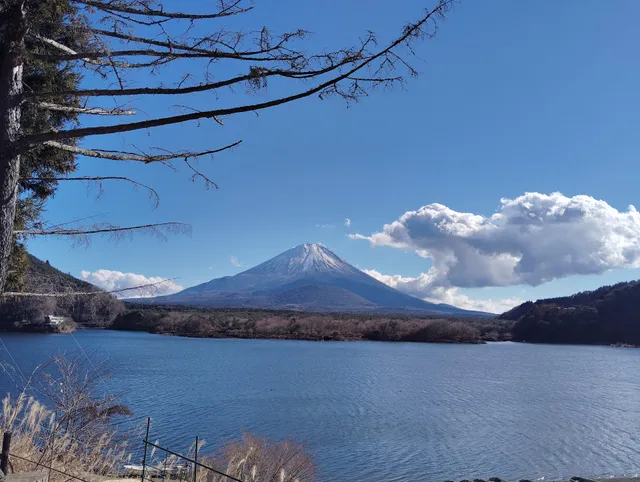 Shojiko Sight Seeing Information Center