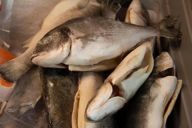 Rybnyy Magazin Almaty "Sakhalin Ryba"