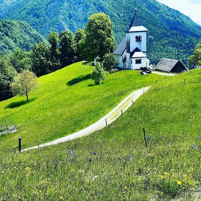 Slovenian Traditional Guest House