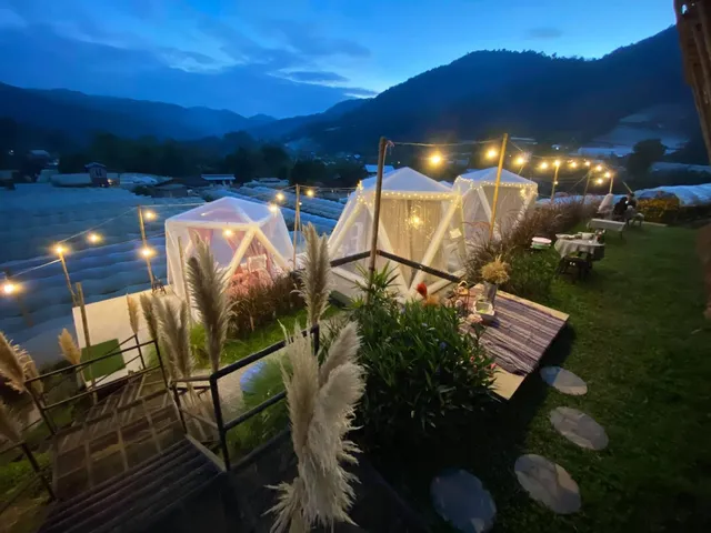 Ping fai camp inthanon ผิงไฟแคมป์ อินทนนท์