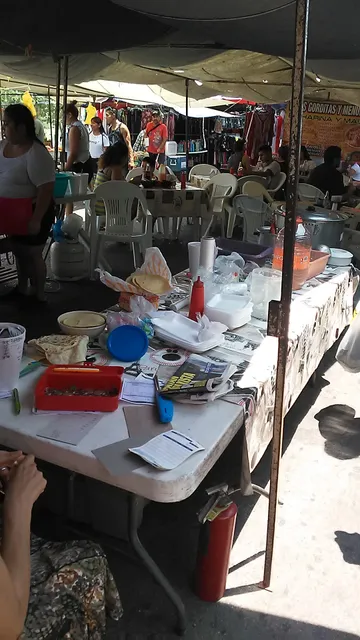 Parque Tucan flea market