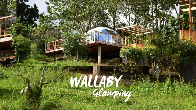 Wallaby Glamping