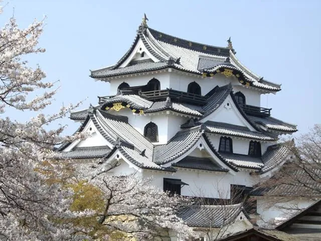 Toyoko INN Hikoneekihigashiguchi