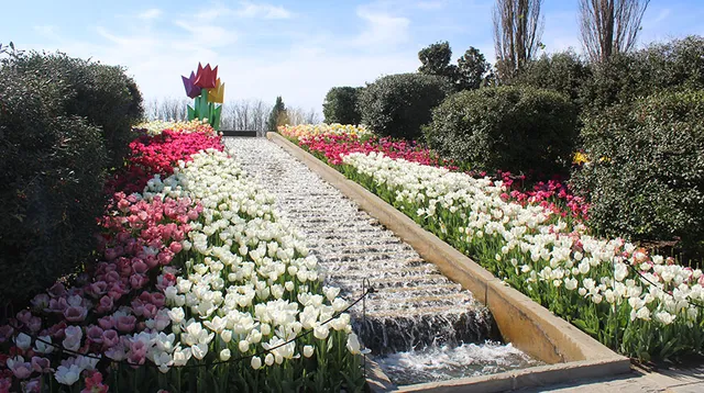 Tulsa Botanic Garden