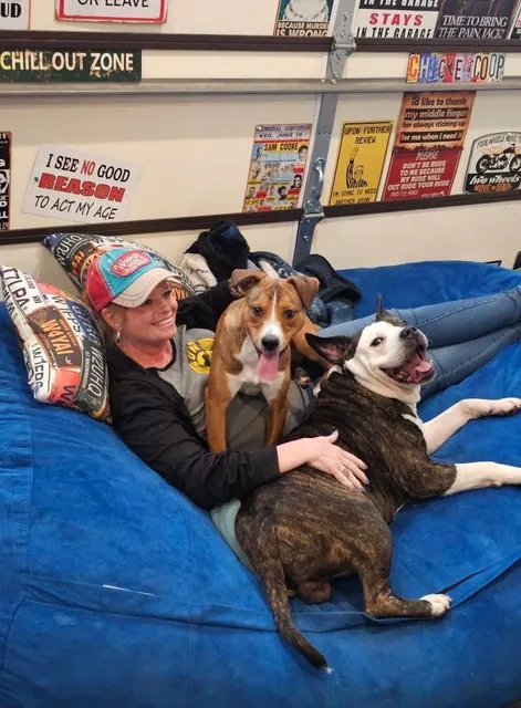 City Of Springdale, Animal Services