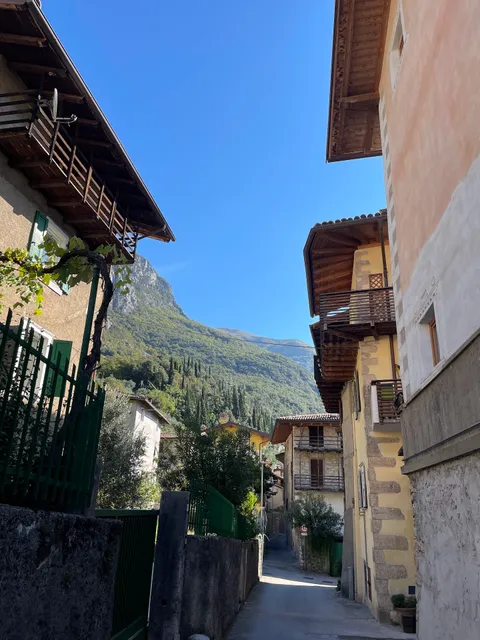 Massone Climbing Home