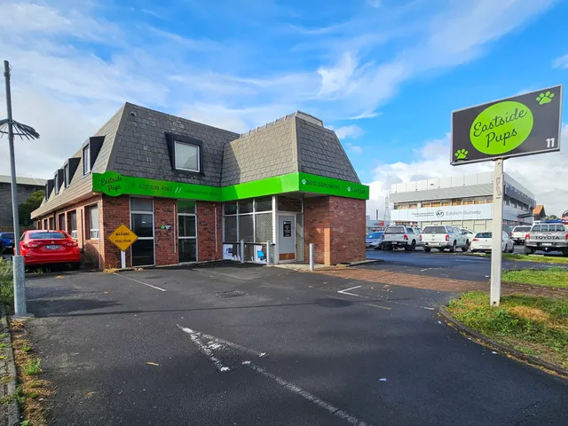 Eastside Pups Dog Grooming & Daycare