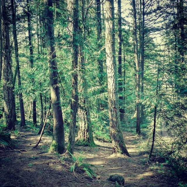 Camas School District