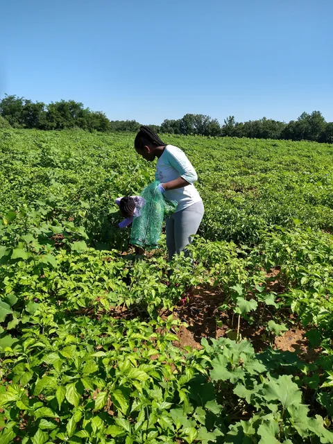 L & J Edelen & Family's Homestead Farm