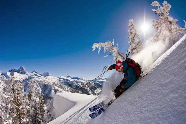 Get Ski Bots DBA Get Ski Tickets LLC