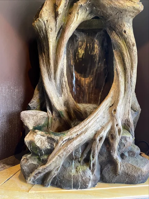 photo-1