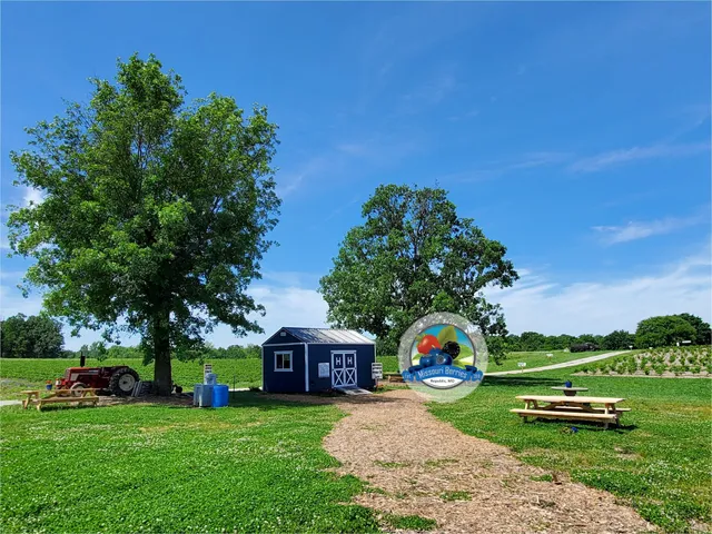 Missouri Berries