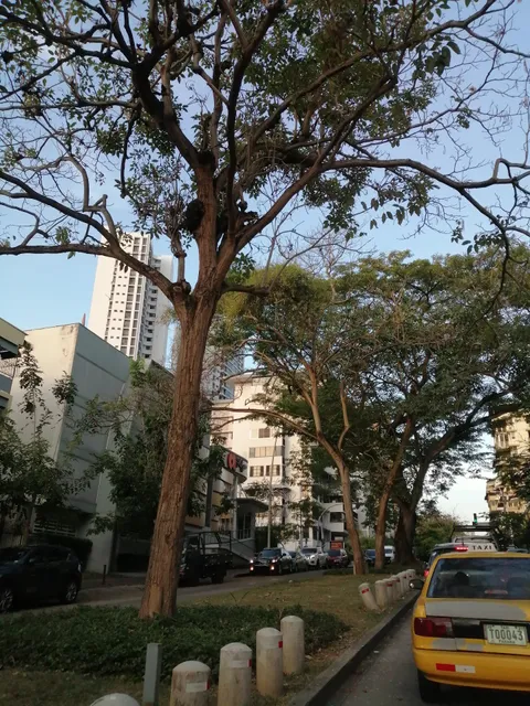 Vía Argentina, Panama