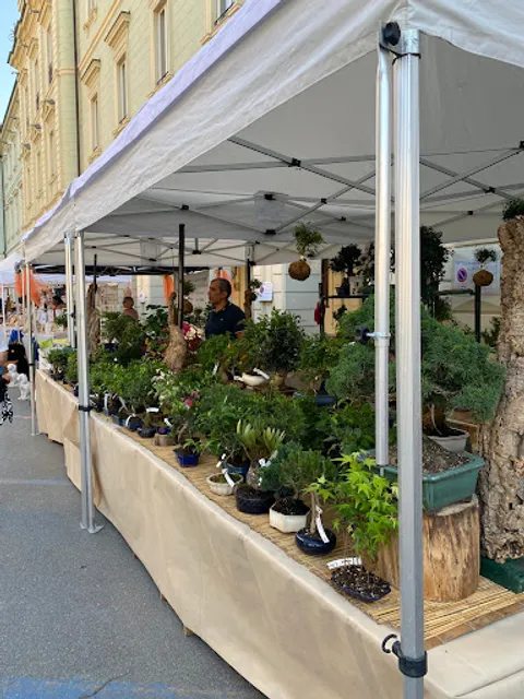 Pizzeria-Osteria La via del sale