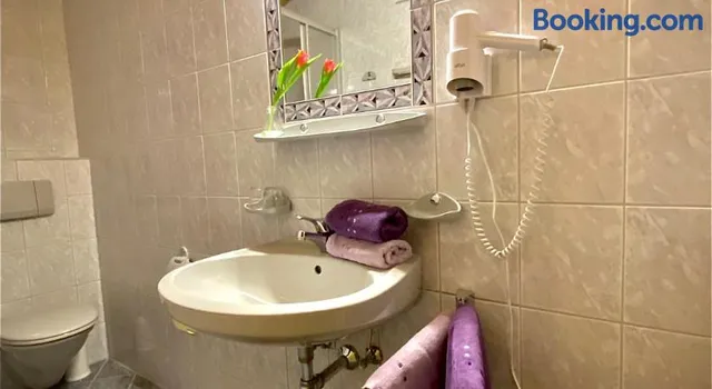 Aparts Handle Haus Bergblick