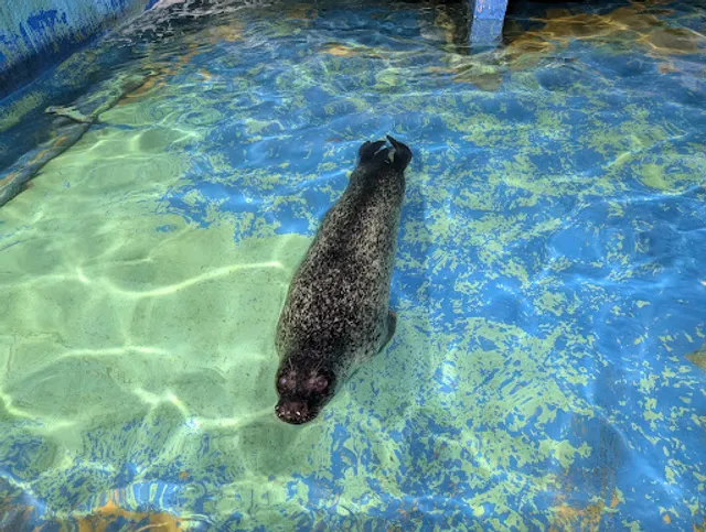 Taipingyang Underwater World Exhibition