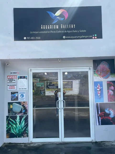 Aquarium Gallery PR
