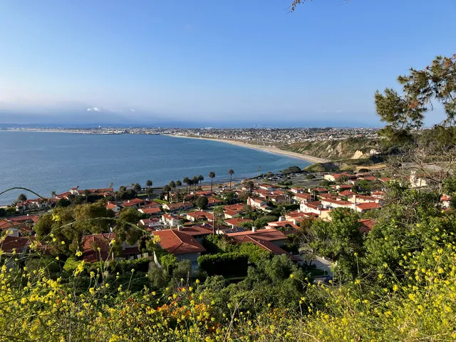 La Costa Hillside