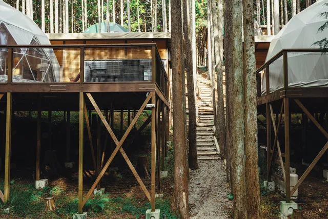 エメラルドの森