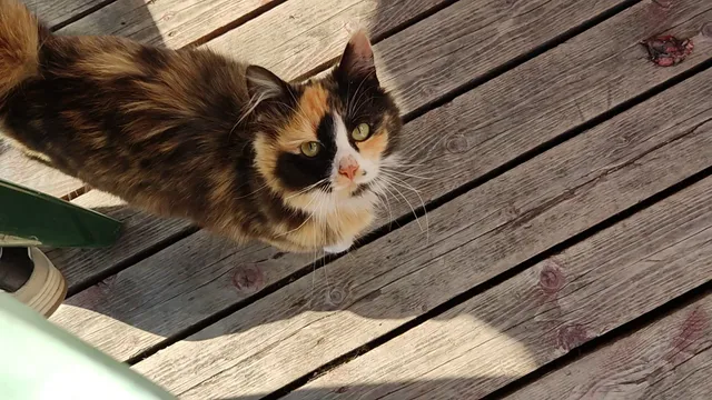 Parila Holiday House with Sauna