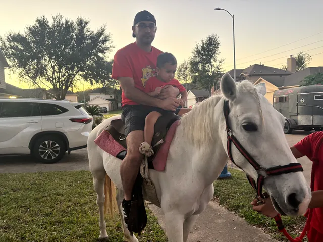 The star mobile petting zoo