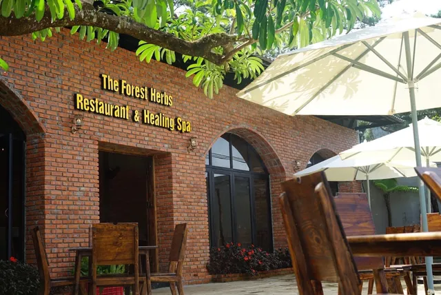 In The Forest - Nhà Hàng Gỏi Lá Măng Đen