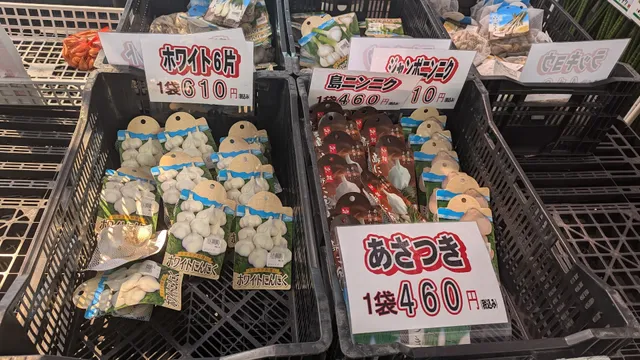 JA Nishikasugai Green Nishikasugai