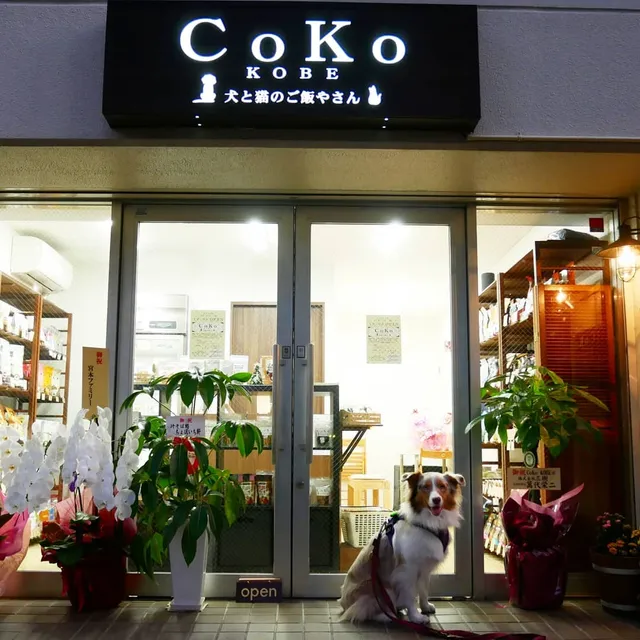 CoKo犬と猫のご飯やさん®