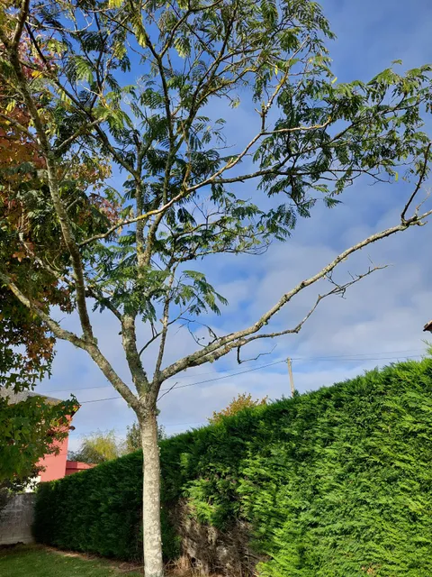 VILLA MONTALVO BEACH