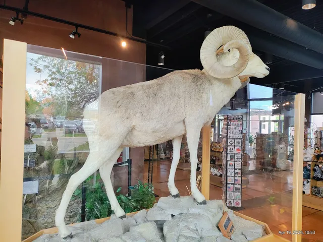 Greater Zion Welcome Center