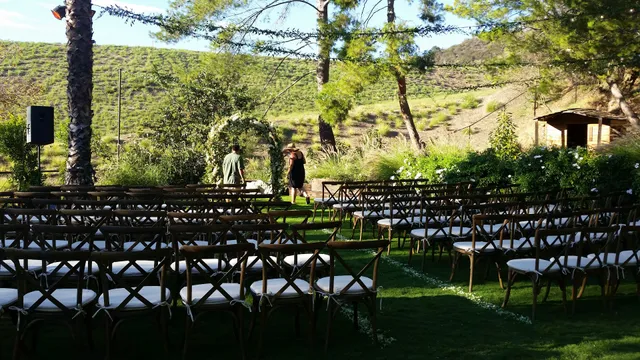 Franklin Canyon Orange Grove