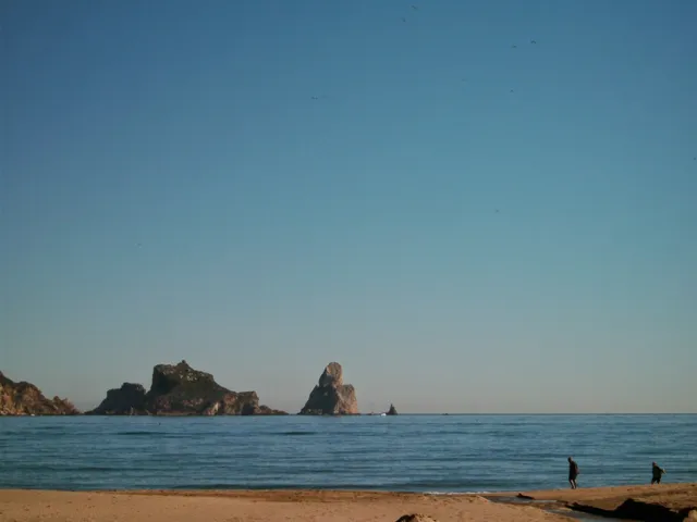 Zona Immo - L'Estartit