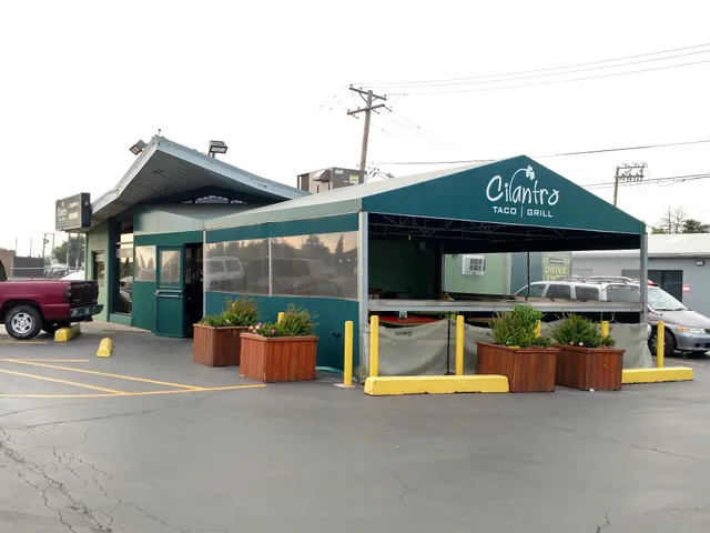 Cilantro Taco Grill