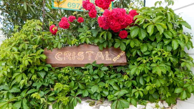 Cristal Studios