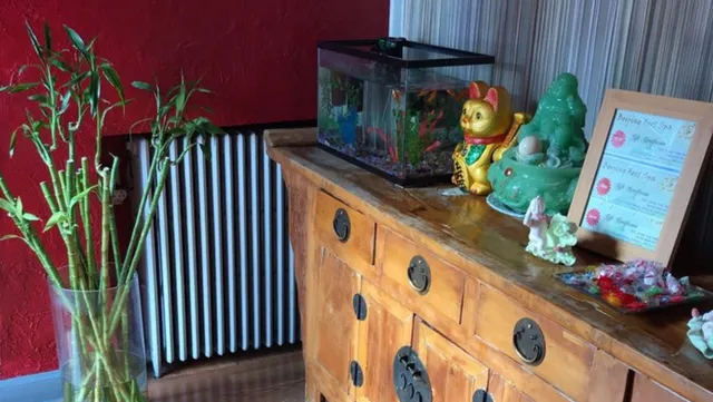 Beijing Foot Spa - NEW Management & Massage Therapist