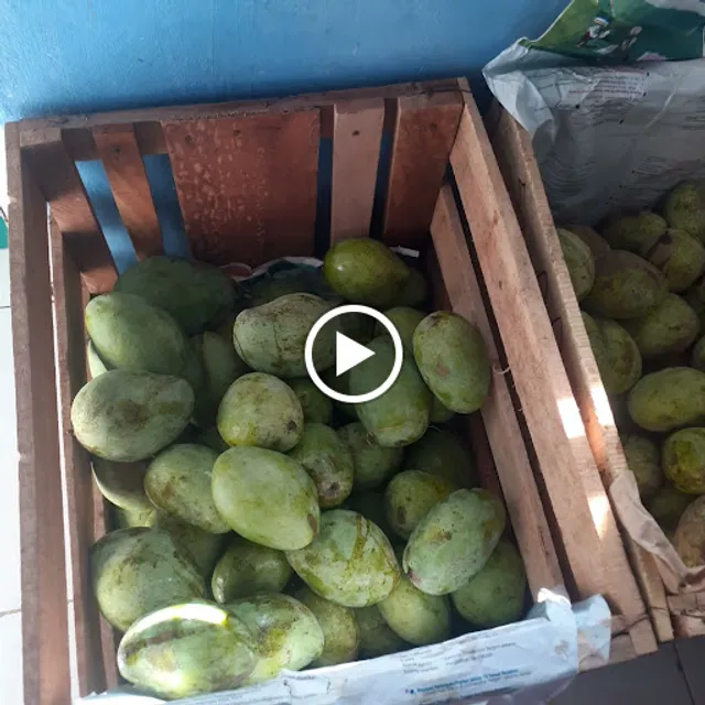 Rujak buah kacang atom