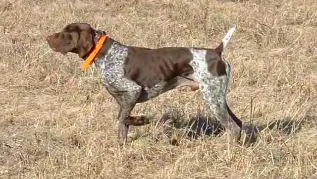 Trophy Time Outdoors