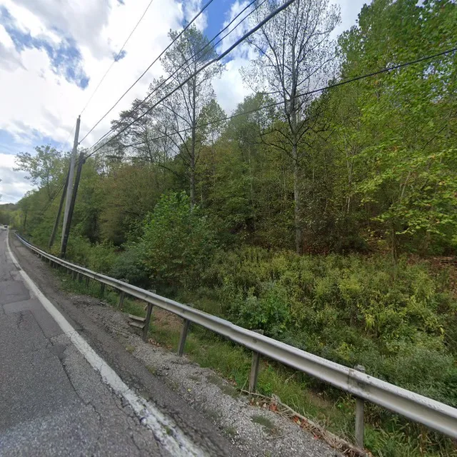 Electronic Service Inc