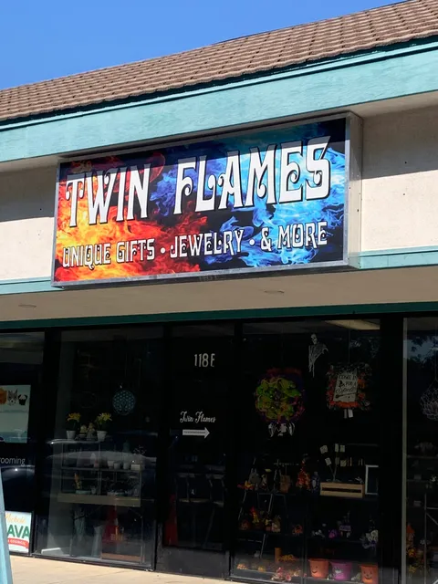 Twin Flames Tracy Vincent